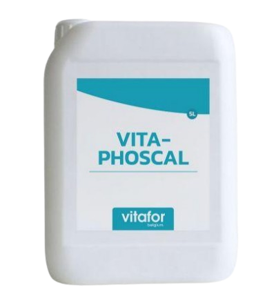VITA PHOSCAL®