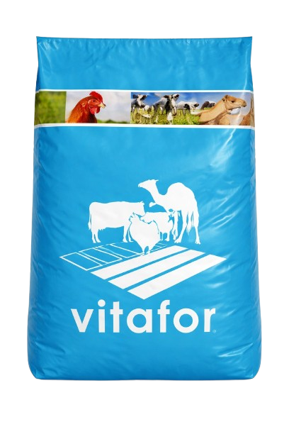 VITA-MOULD®